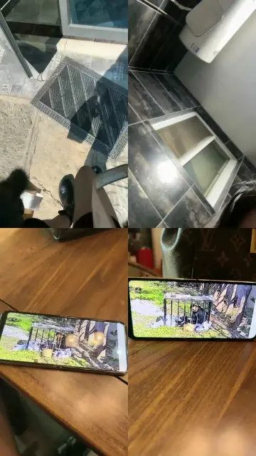 【沅芷大人】女主下班看狗笼圈养奴