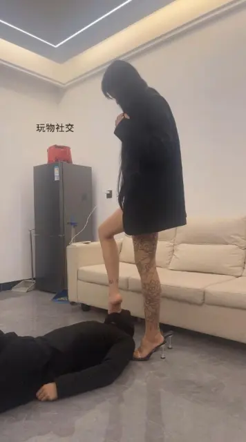 【白鹭】钻胯踩踏提档舔脚