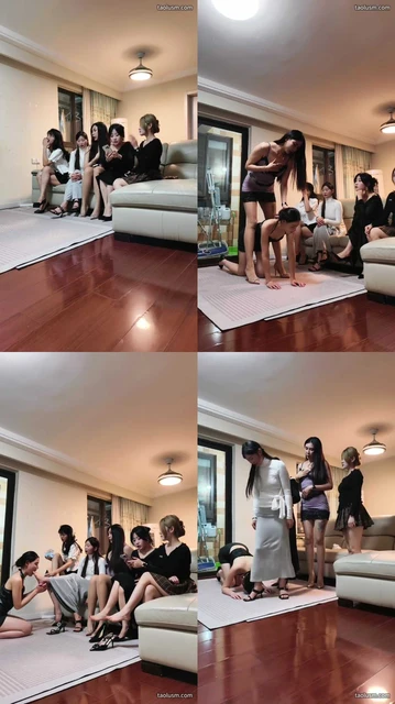 【魔仙集中地】群T女目