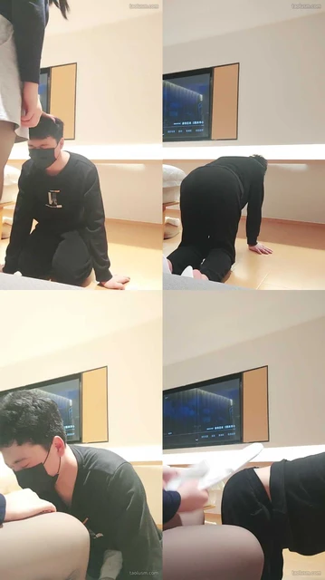 【风见金S】直播狗不远万里求调教