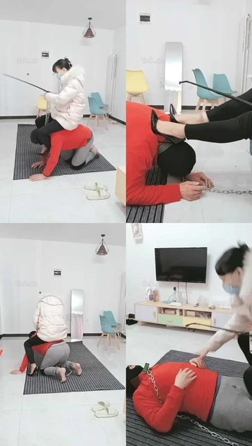 【朱迪】骑马爬行驯化