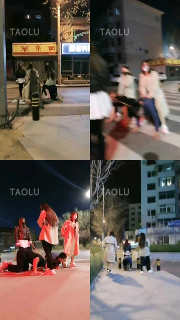 【傲柔】精彩-超强3S户外遛狗/群殴【完整版】