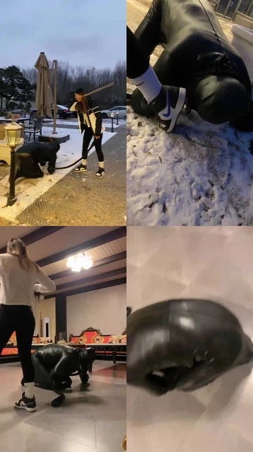 【星染】双主户外雪地暴力抽奴