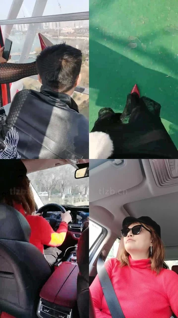 【乐姐】摩天轮给狗废物上课