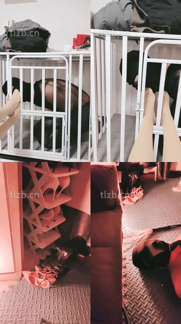 【兰芯大人】狗笼囚禁强制舔脚