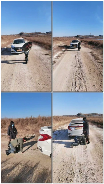 【沐颜s】今天老狗当个拖车狗