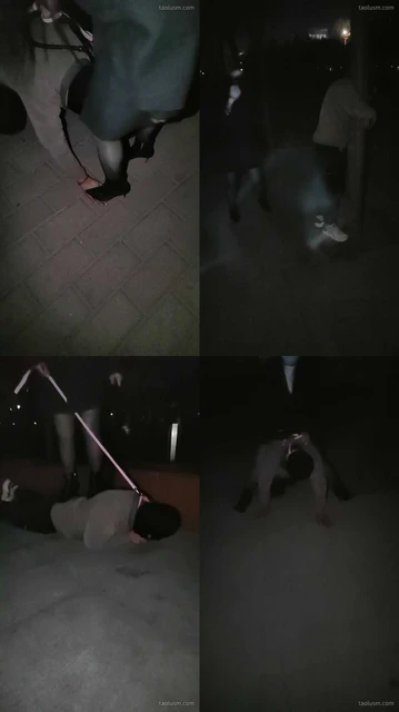 【沐颜s】公园遛狗，踩手，踩踏