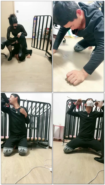 【薇薇情侣主】主人的黄金狗又来了