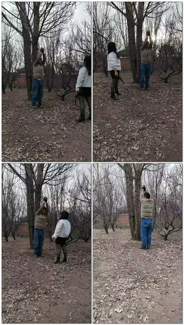 【沐颜s】老狗吊树上数据线鞭打