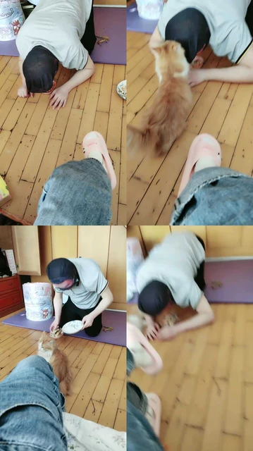 【桉】脚下喂食圈养奴【完整版】