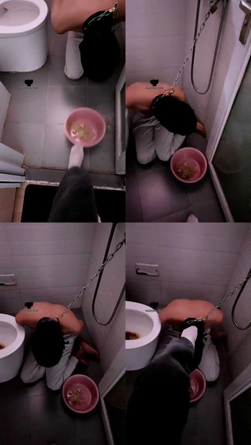 【婉欣】囚禁狗奴在厕所/喂食【双视角版】