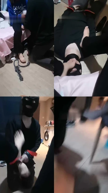 【潍坊小梦女主】多素人S共同调狗