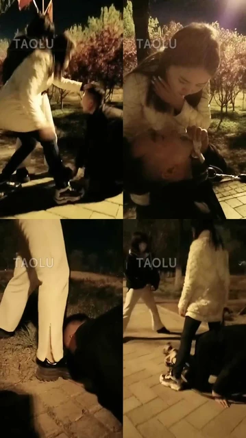 【红杉】户外玩狗