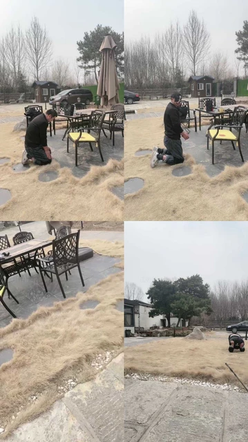 【沅芷】犬化改造/长鞭驯化/遛