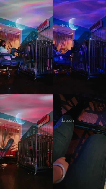 【语阳】狗笼圈养驯化前任