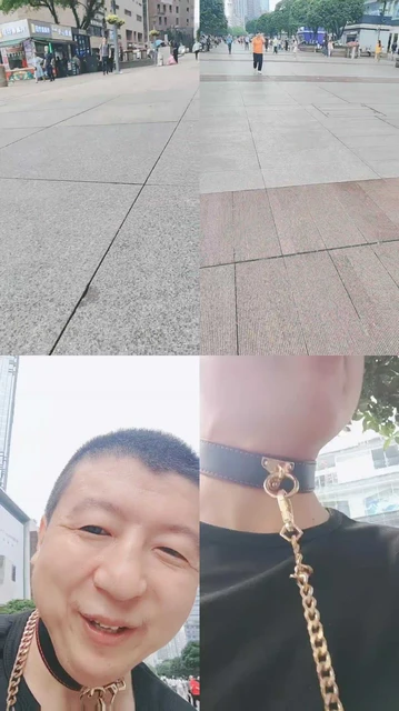 【全能来福M】给路人美女跪拜会是什么反应