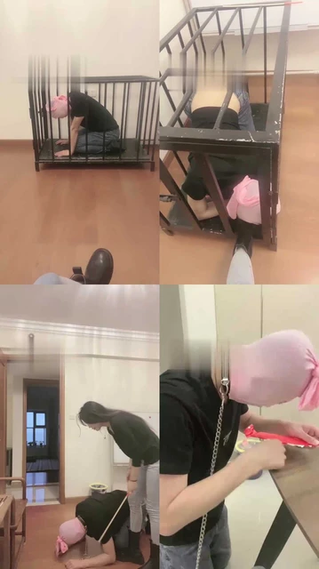 【霁月S】训练圈养贱狗