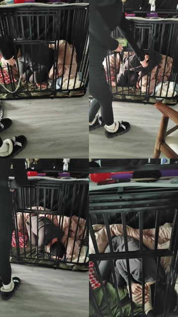 【宝宝大人s】牢笼关押