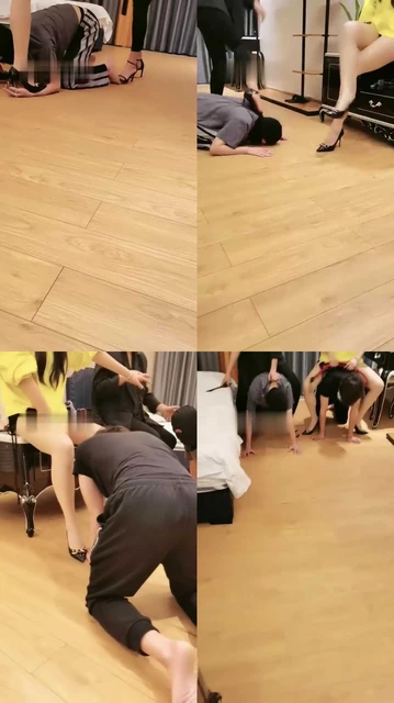 【丹祖宗】双S惩罚99年小奶狗【双视角版】