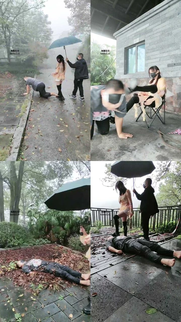 【伊晨】推荐-双S-雨天户外遛狗犬化