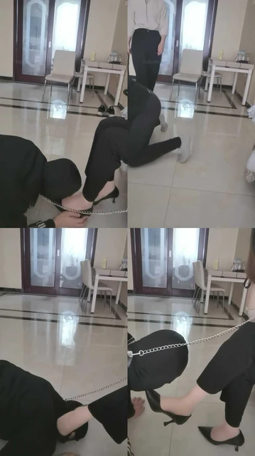 【梦绾】白领S逮住偷原味的野狗【下】