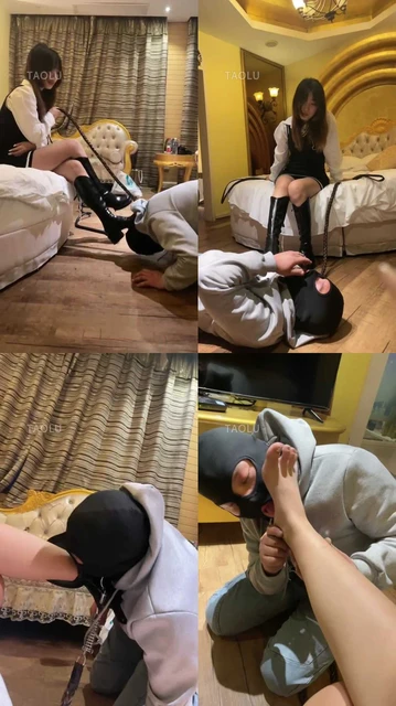 【关关】小调一只蠢狗