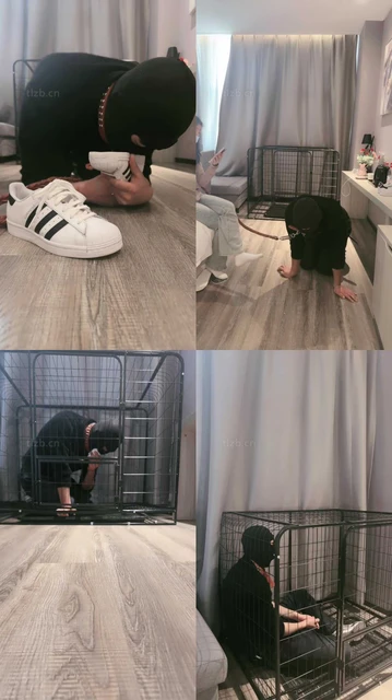 【小雅老师】狗笼圈养犬化绿帽前任【下】