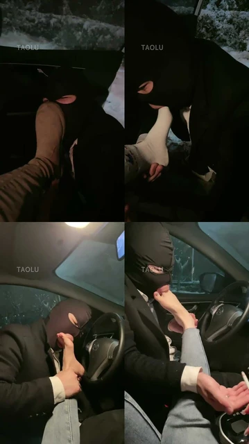 【晚晚S】室外车内调狗