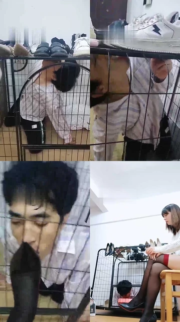 【小猫咪】关在狗笼里的废物狗【双视角】