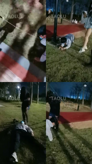 【丹祖宗】双S户外遛狗专场