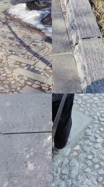 【丝丝清欢】户外牵狗链