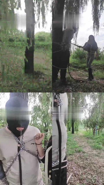 【霁月S&辰辰S】户外捆绑鞭打贱狗（续集）（双视角）