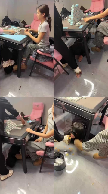 【Da猫】Da猫，乔伊S，棋牌室玩狗狗