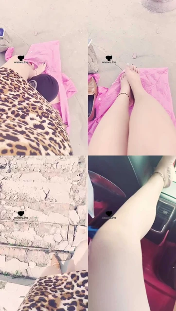 【李老师】户外骑狗背胯下辱