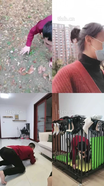 【凌儿女神】鞭打/舔脏鞋臭脚/玩户外舔脏鞋/关狗笼
