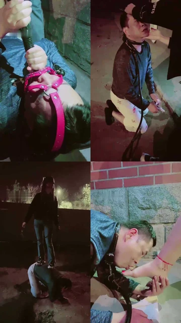 【天津桃桃】户外公厕旁逮住跟踪狗【双视角版】