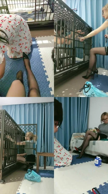 【喵酱紫】母畜饲养计划【一】