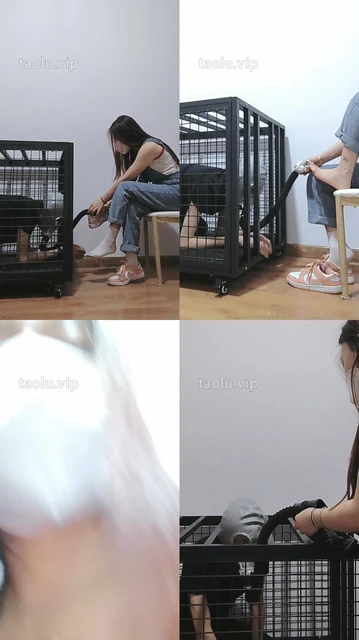 【嫦曦S】圈养第二天强制闻鞋