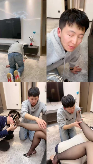 【妆主大大】双犬竞选家奴-物化坐垫-除臭器-烟灰缸-出气筒