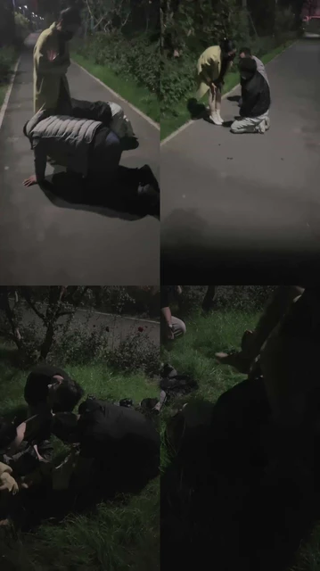 【暖暖】御姐野外溜双狗