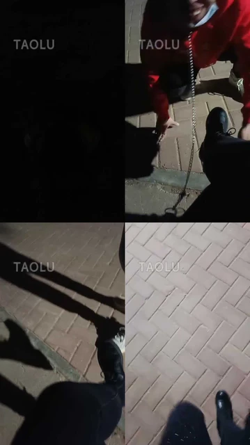 【平凡】户外遛狗当众羞辱