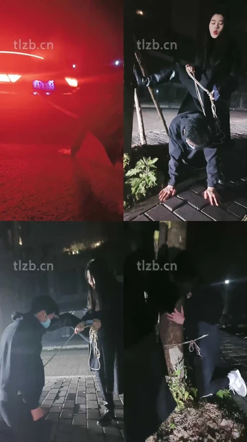【昭玥】夜调-开车遛狗/骑马钻胯/绑树耳光