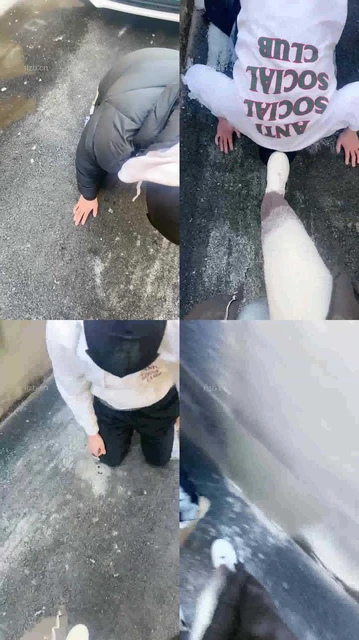 【酒鸽】大冬天户外遛狗虐