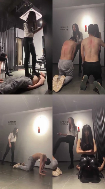 【偏不】暴力玩狗