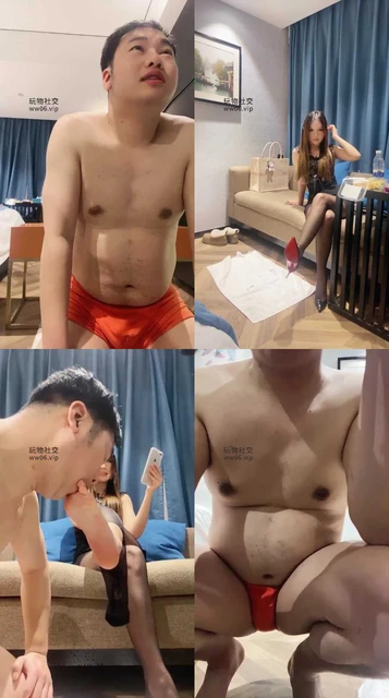 【胖虎】又来杭州伺候主人