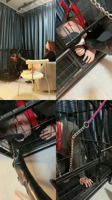 【语阳】圈养初遇