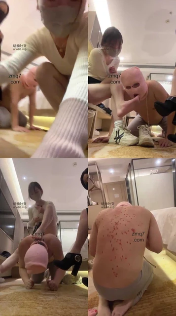 【吕追】双S暴调