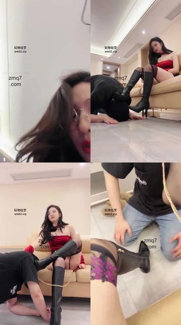 【了了的】展示宠物