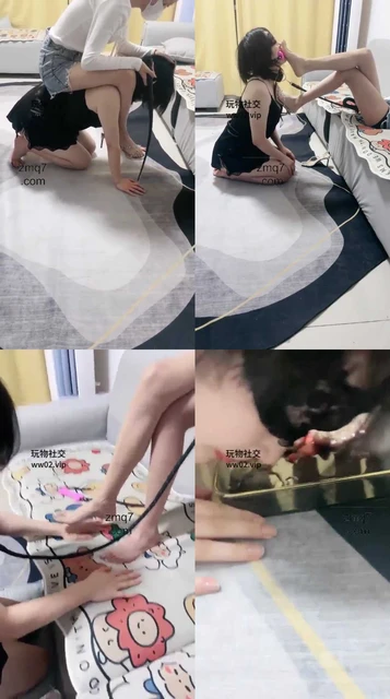 【司藤】日常训母畜