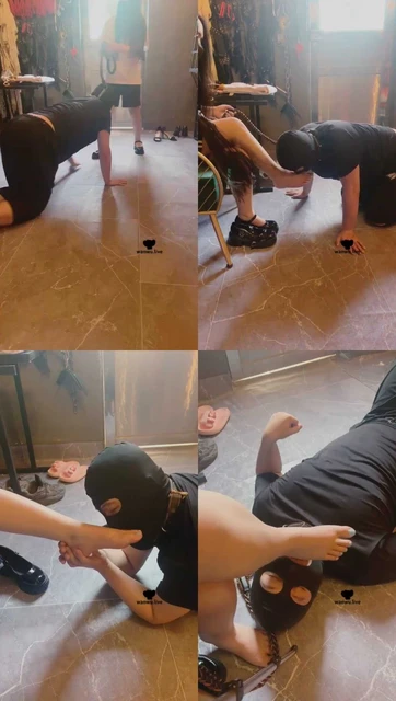 【瑞拉小主】遛狗